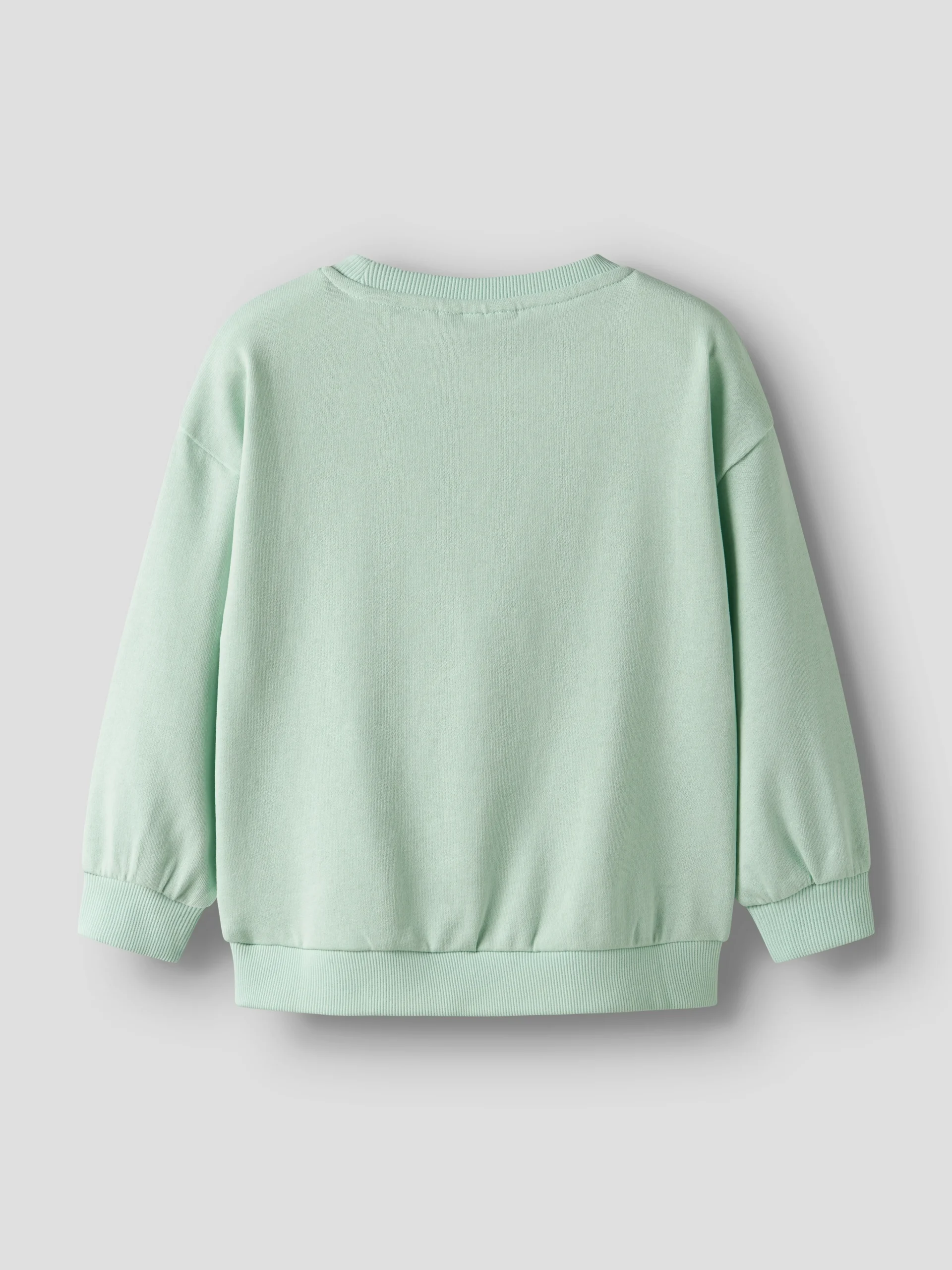 Sudadera Erizo Verde Agua Mini - Imagen 4